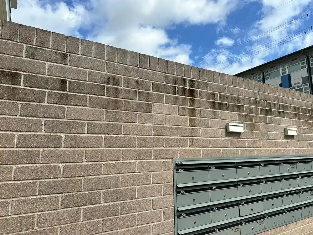 IMG-20240930-WA0021(1) IMG-20240930-WA0021(1)