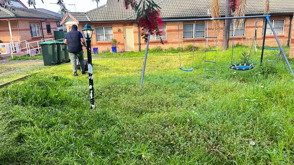 Lawn and garden before 2 Lawn and garden before 2